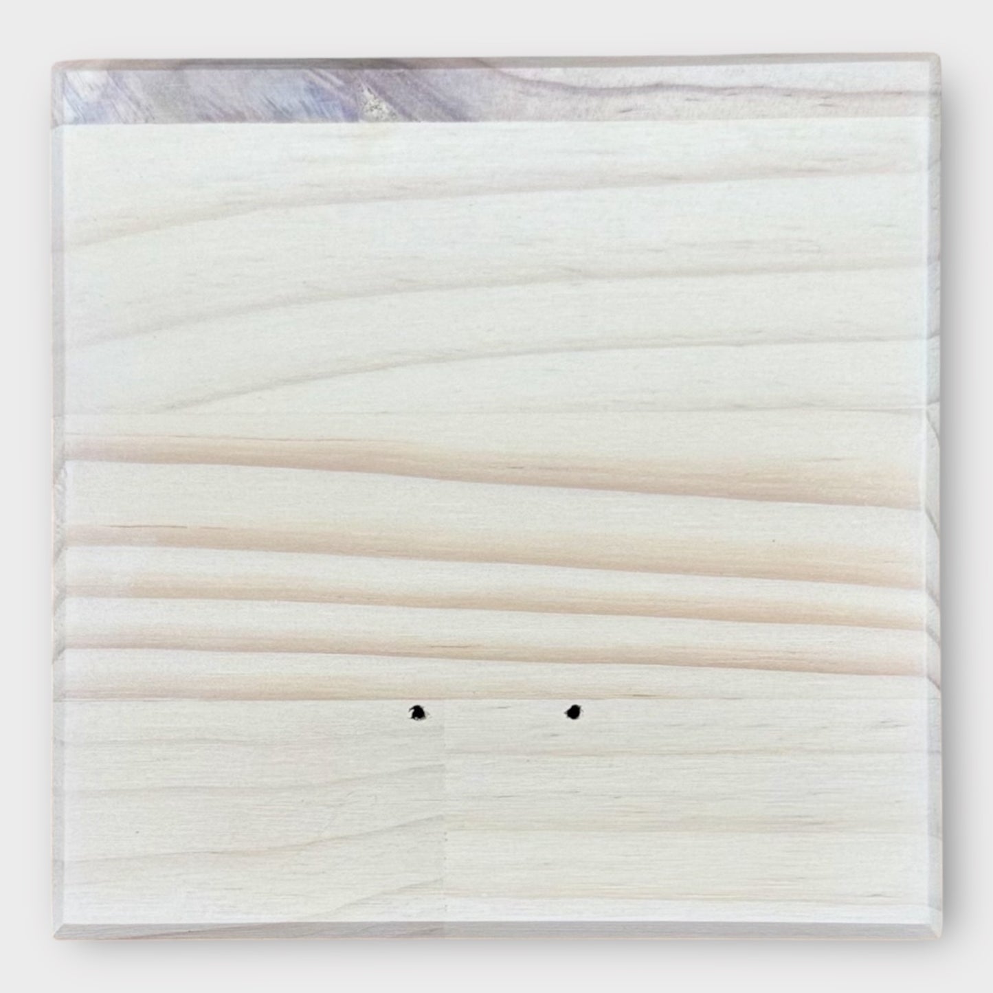 Dog Leash | Collar Holder