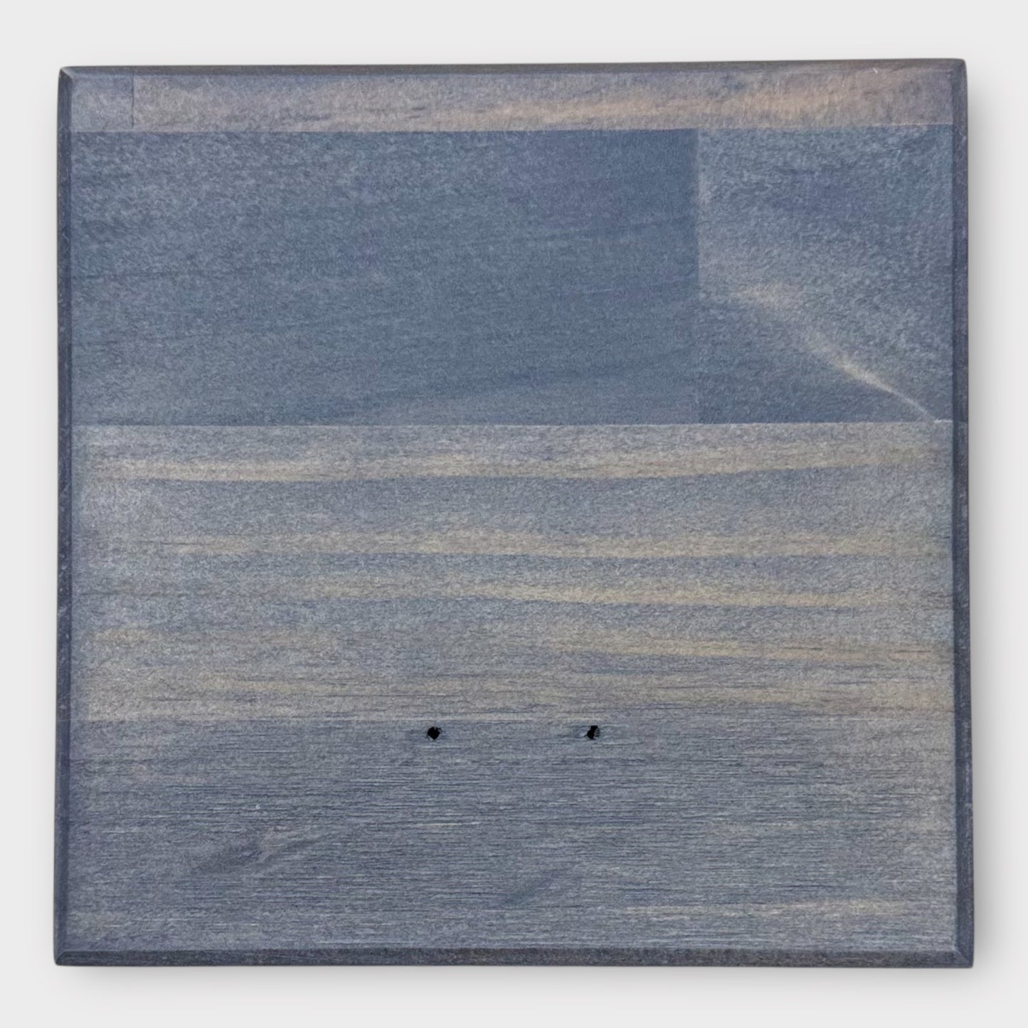 Dog Leash | Collar Holder